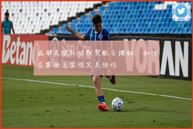 成都足球队的默契配合揭秘：如何在赛场上实现完美协作